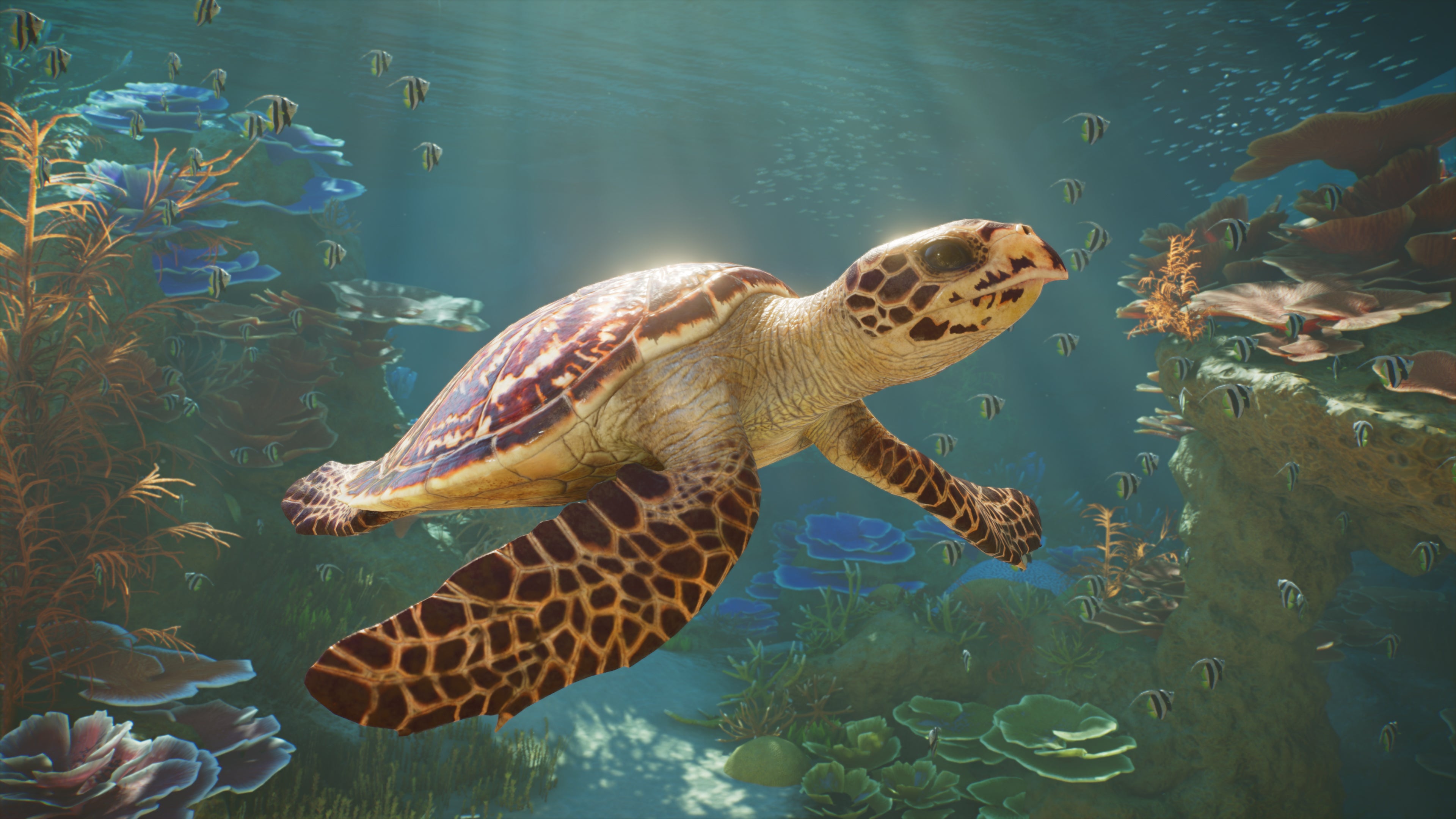 Planet Zoo 2 PS5