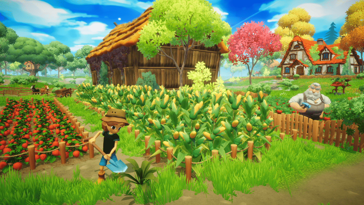 Everdream Valley Nintendo Switch - Jeux Vidéo Physique - Galaxy Games - Shop Just for Games