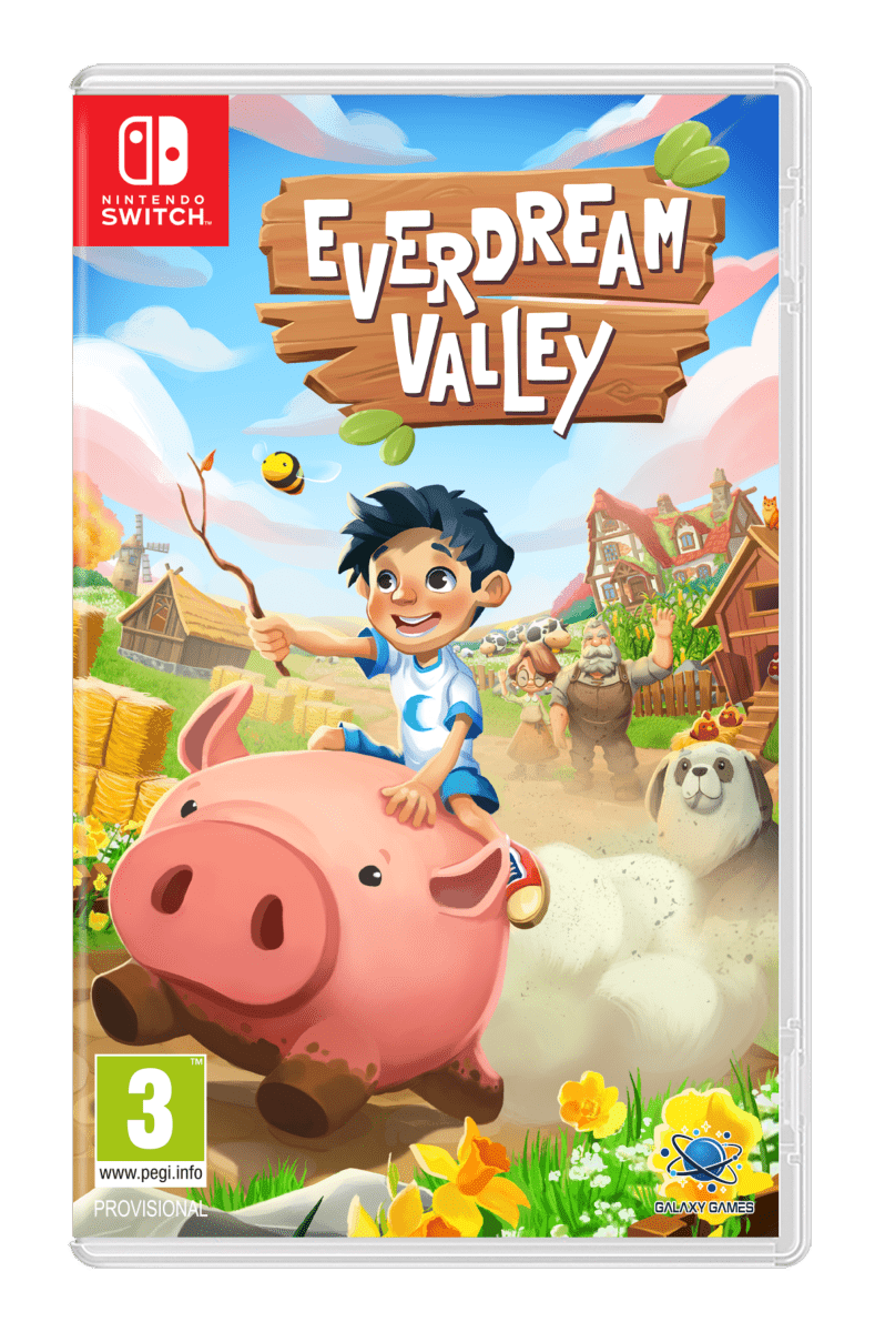 Everdream Valley Nintendo Switch - Jeux Vidéo Physique - Galaxy Games - Shop Just for Games