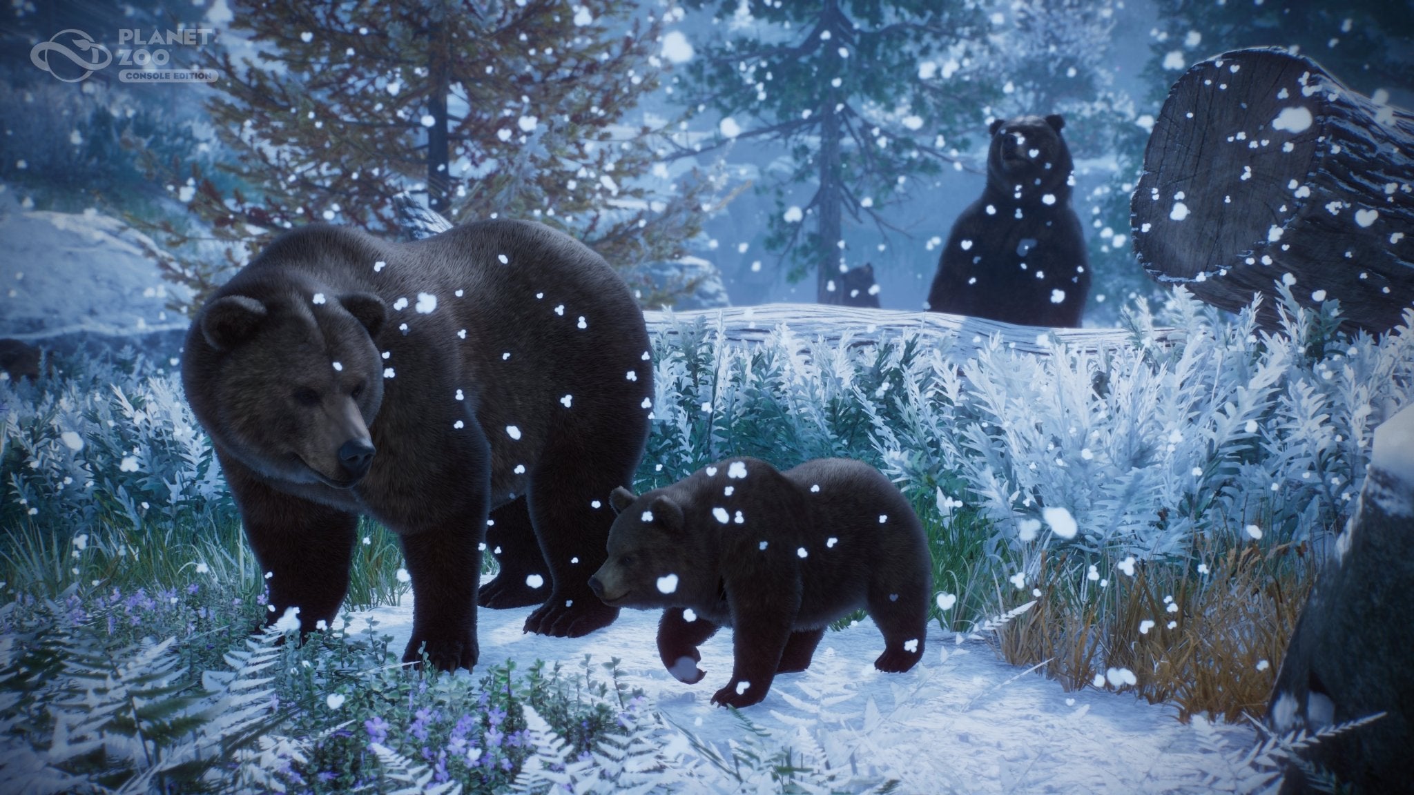 Planet Zoo Console Edition Xbox Series X - Jeux Vidéo Physique - Fireshine - Shop Just for Games