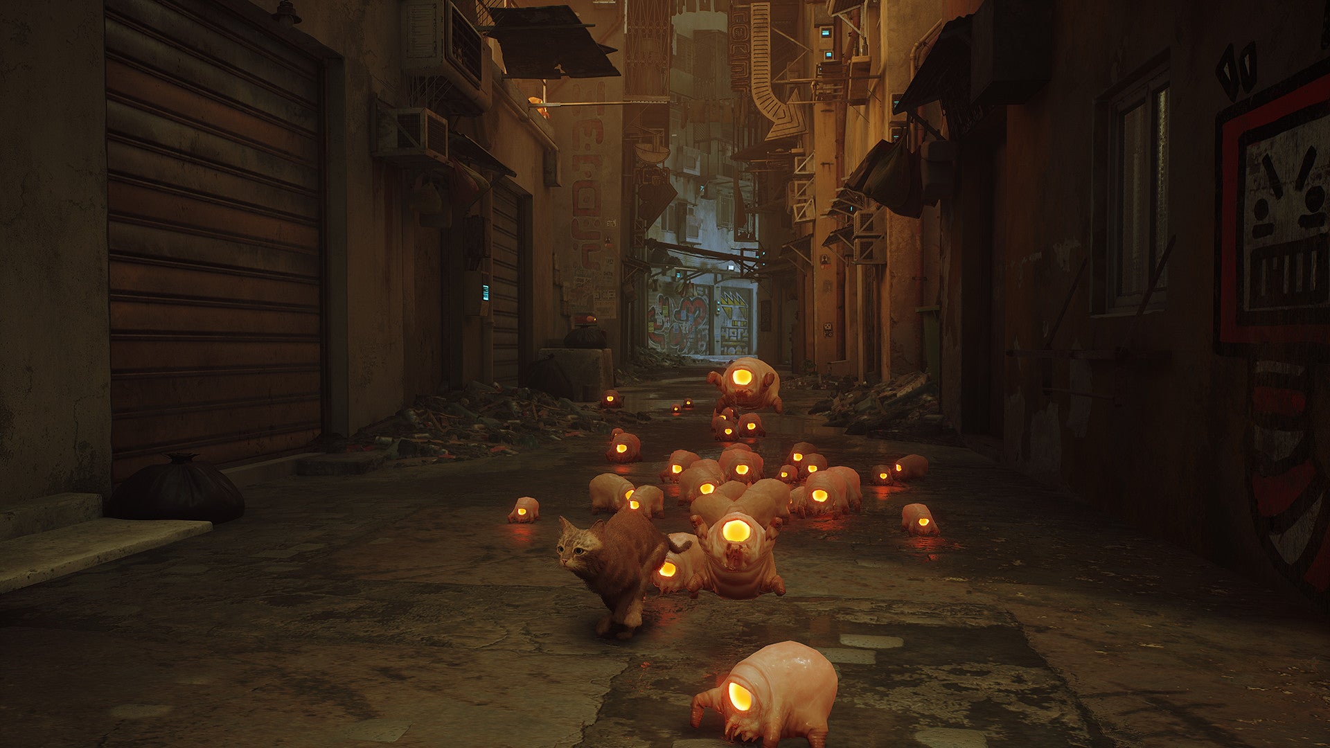 Stray Nintendo Switch - Jeux Vidéo Physique - SKYBOUND - Shop Just for Games