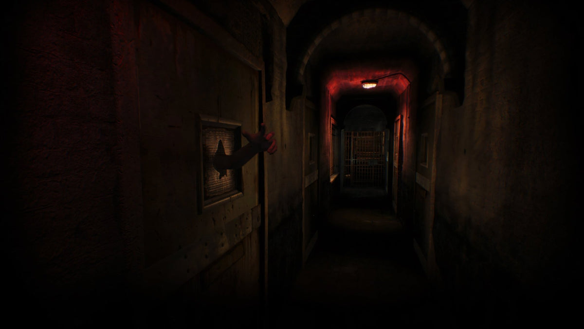 ASYLUM Playstation 5 - Jeux Vidéo Physique - Soedesco - Shop Just for Games
