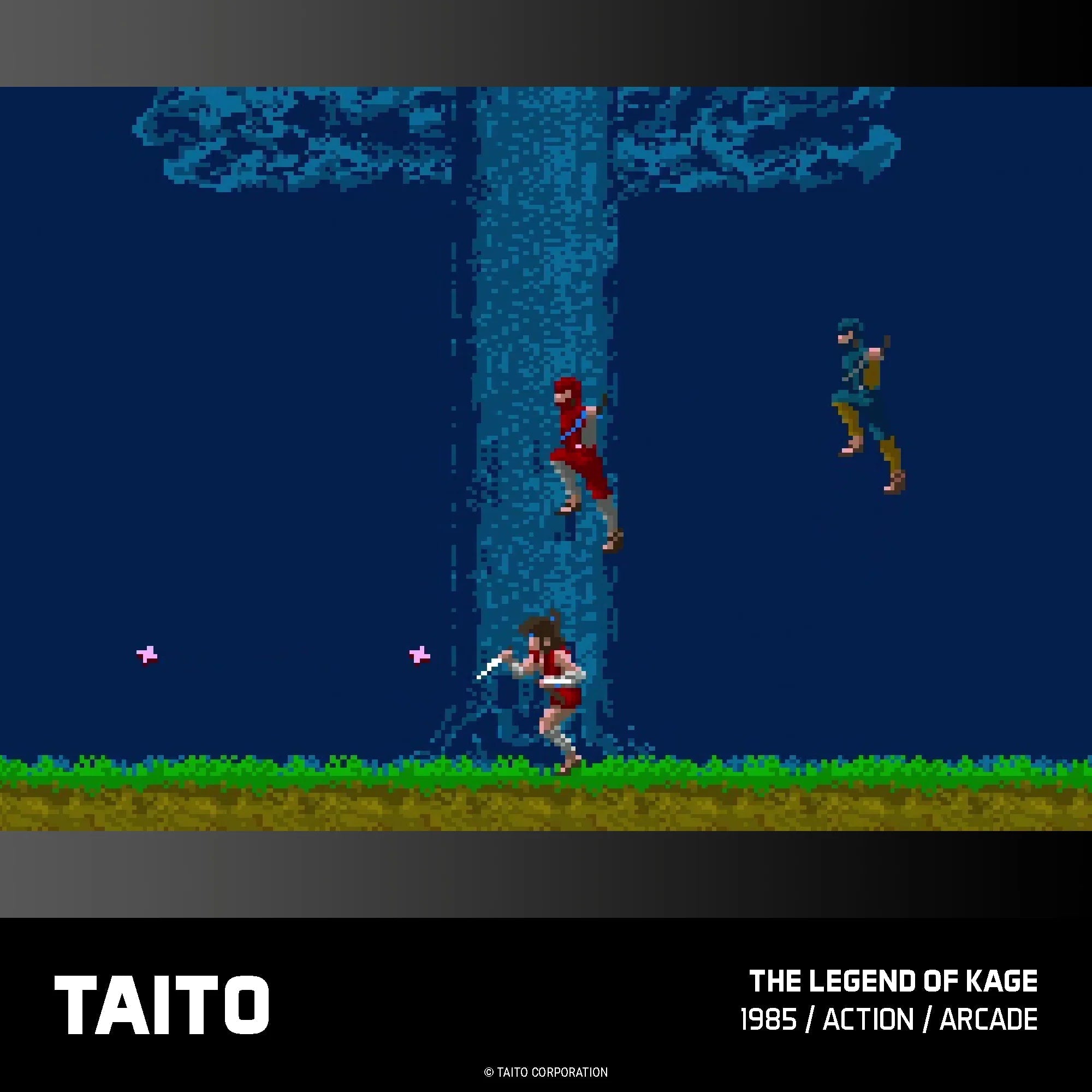 Blaze Evercade - TAITO Arcade Collection 1 - Cartouche n°17 - Jeux Rétro - Evercade - Shop Just for Games