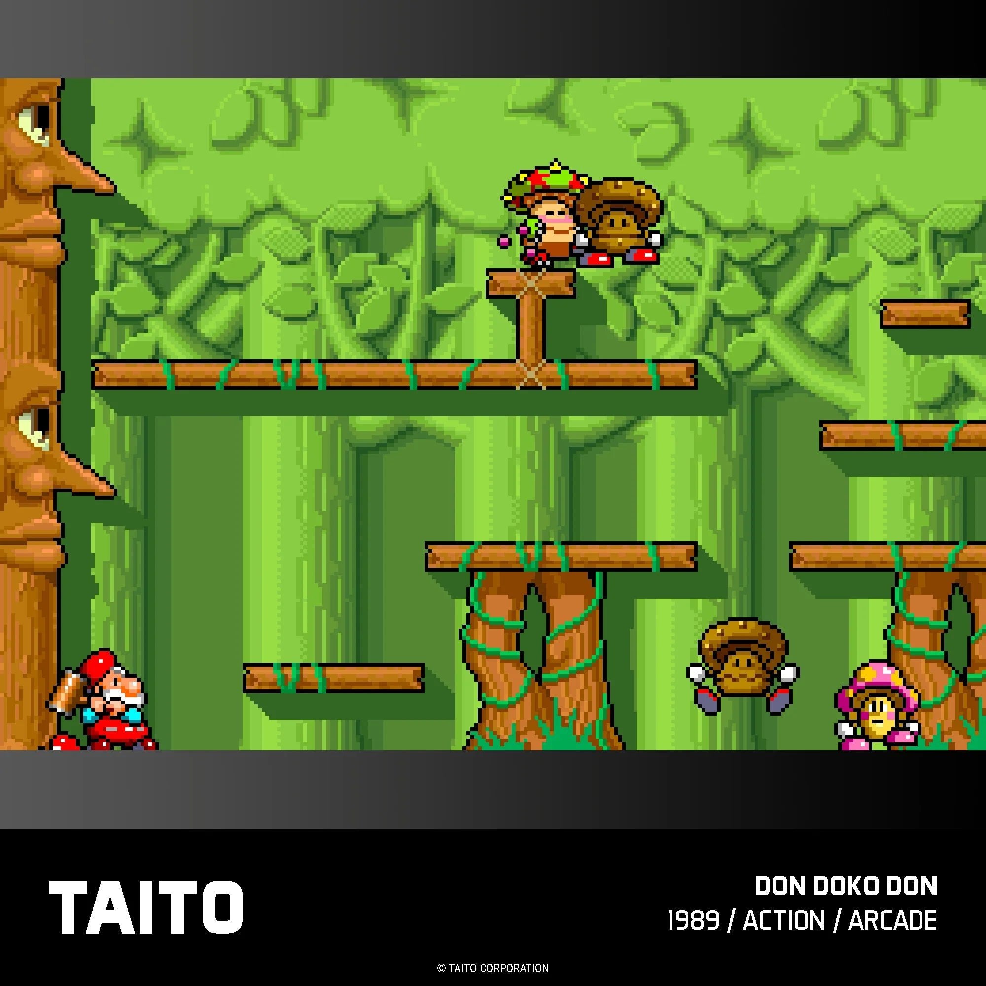 Blaze Evercade - TAITO Arcade Collection 1 - Cartouche n°17 - Jeux Rétro - Evercade - Shop Just for Games