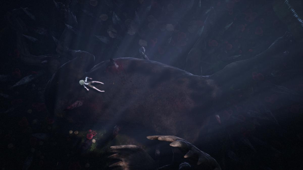 Bramble The Mountain King PS5 - Jeux Vidéo Physique - MERGE - Shop Just for Games