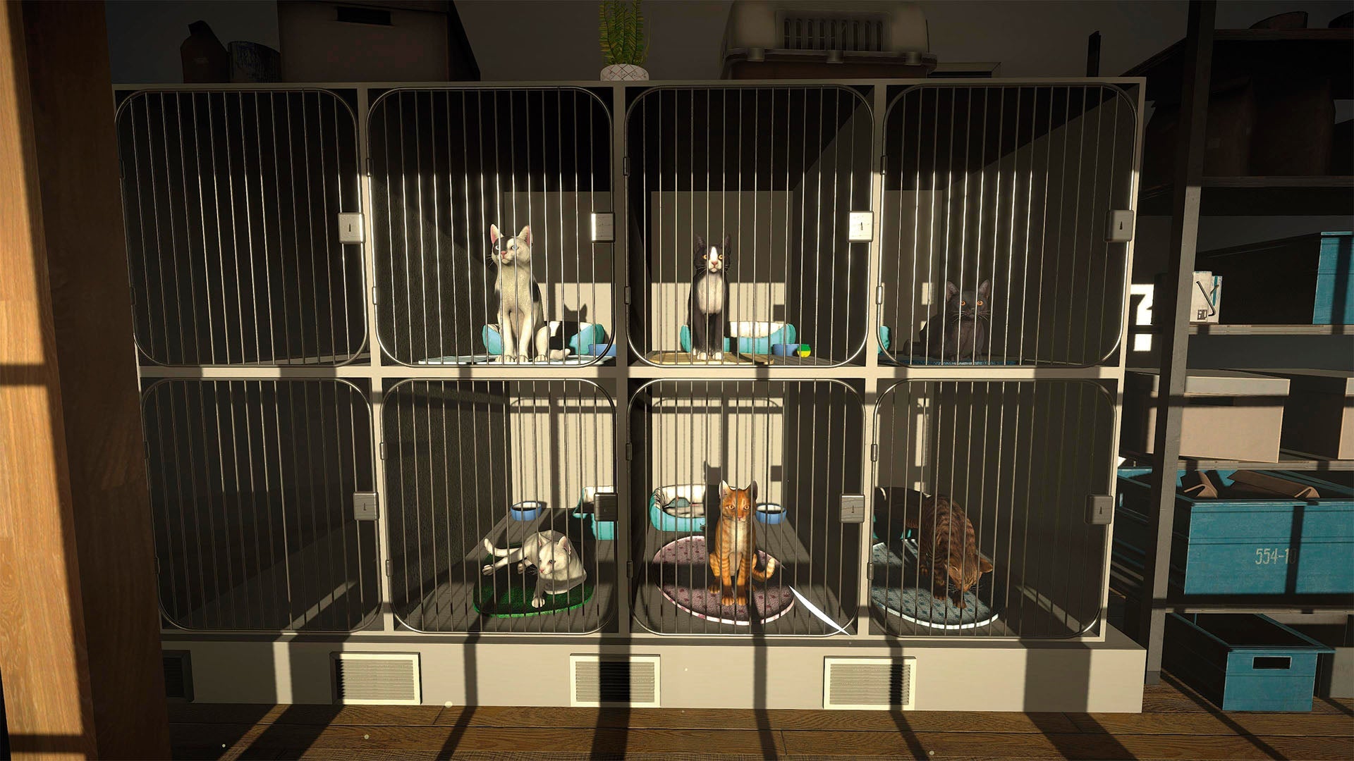 Copycat PS5 - Jeux Vidéo Physique - TESURA - Shop Just for Games