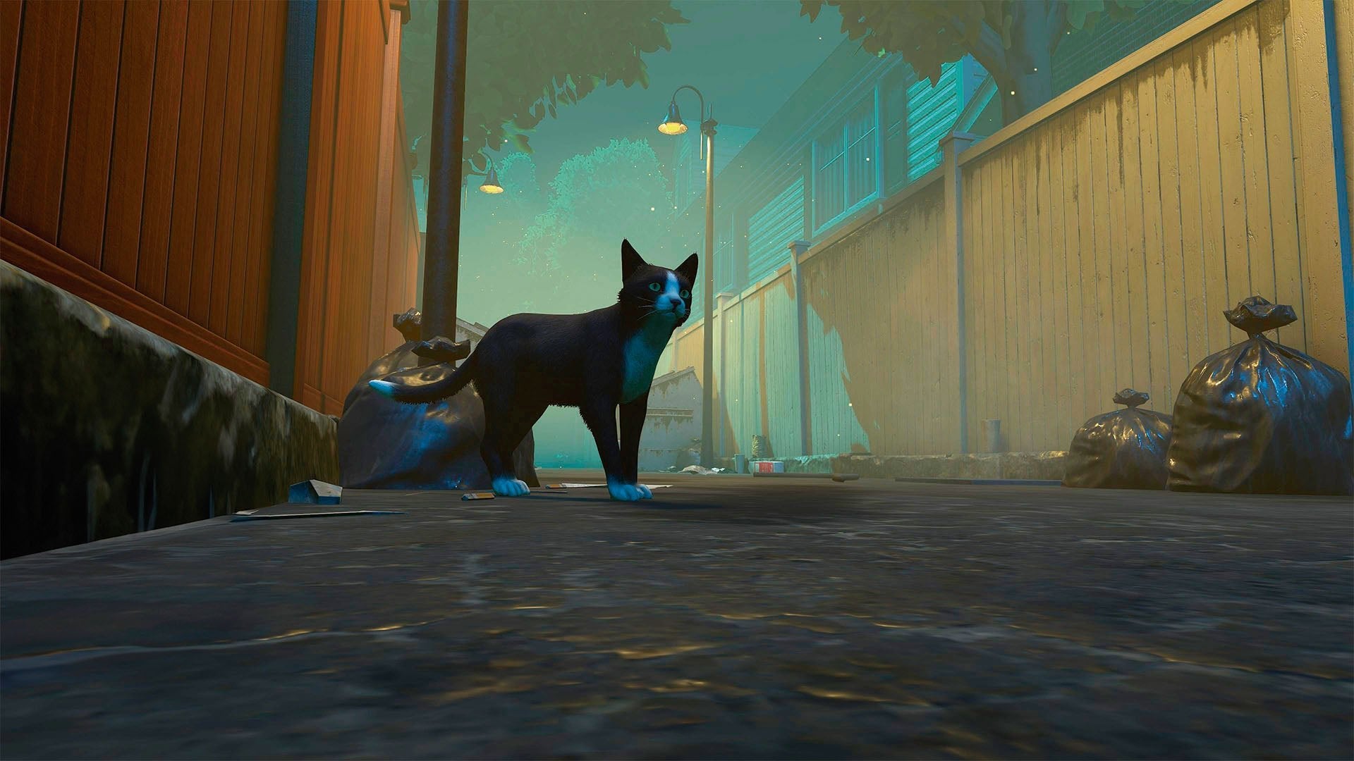 Copycat PS5 - Jeux Vidéo Physique - TESURA - Shop Just for Games