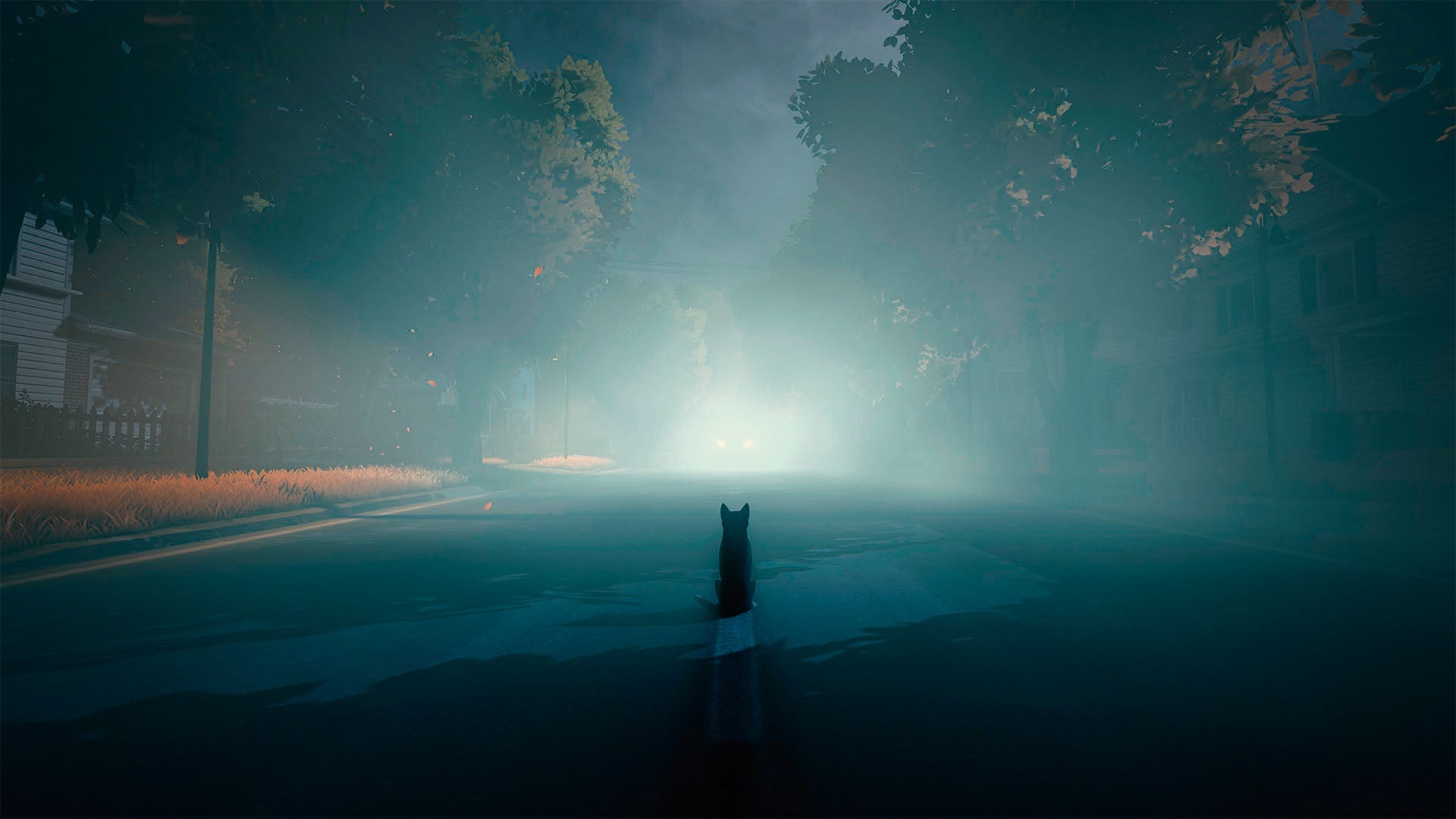 Copycat PS5 - Jeux Vidéo Physique - TESURA - Shop Just for Games