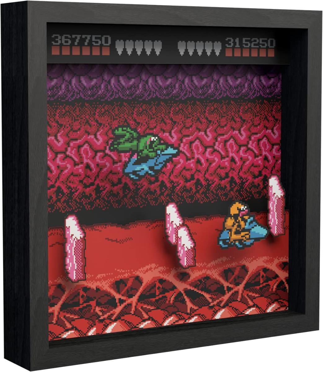Pixel Frames - Battletoads NES Turbo Tunnel - 23x23 cm - Pixel Frames - Level Up Labs - Shop Just for Games