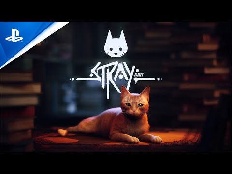 Stray PS4