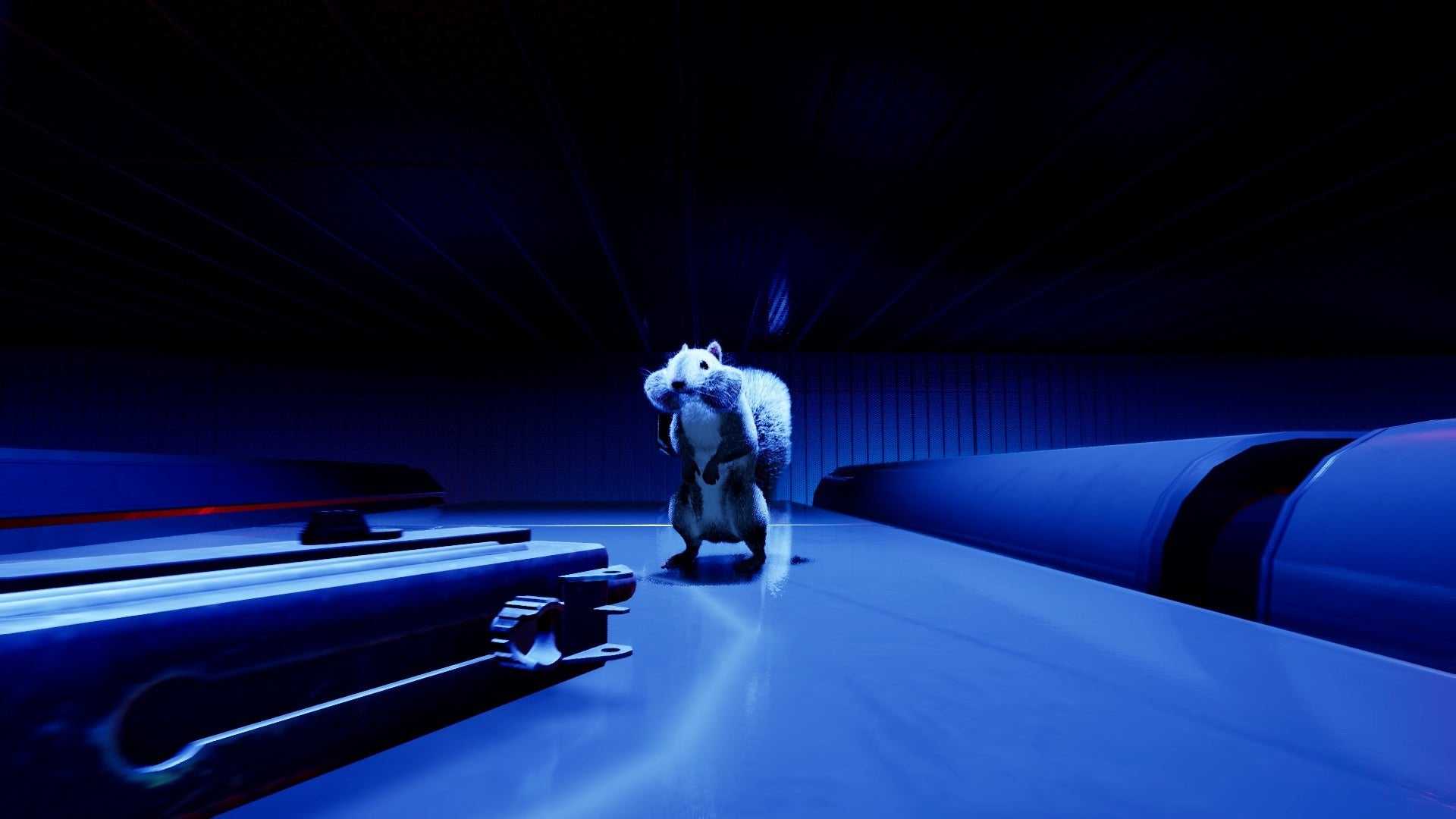 Squirrel With A Gun Switch 2 - Jeux Vidéo Physique - Maximum Entertainment - Shop Just for Games