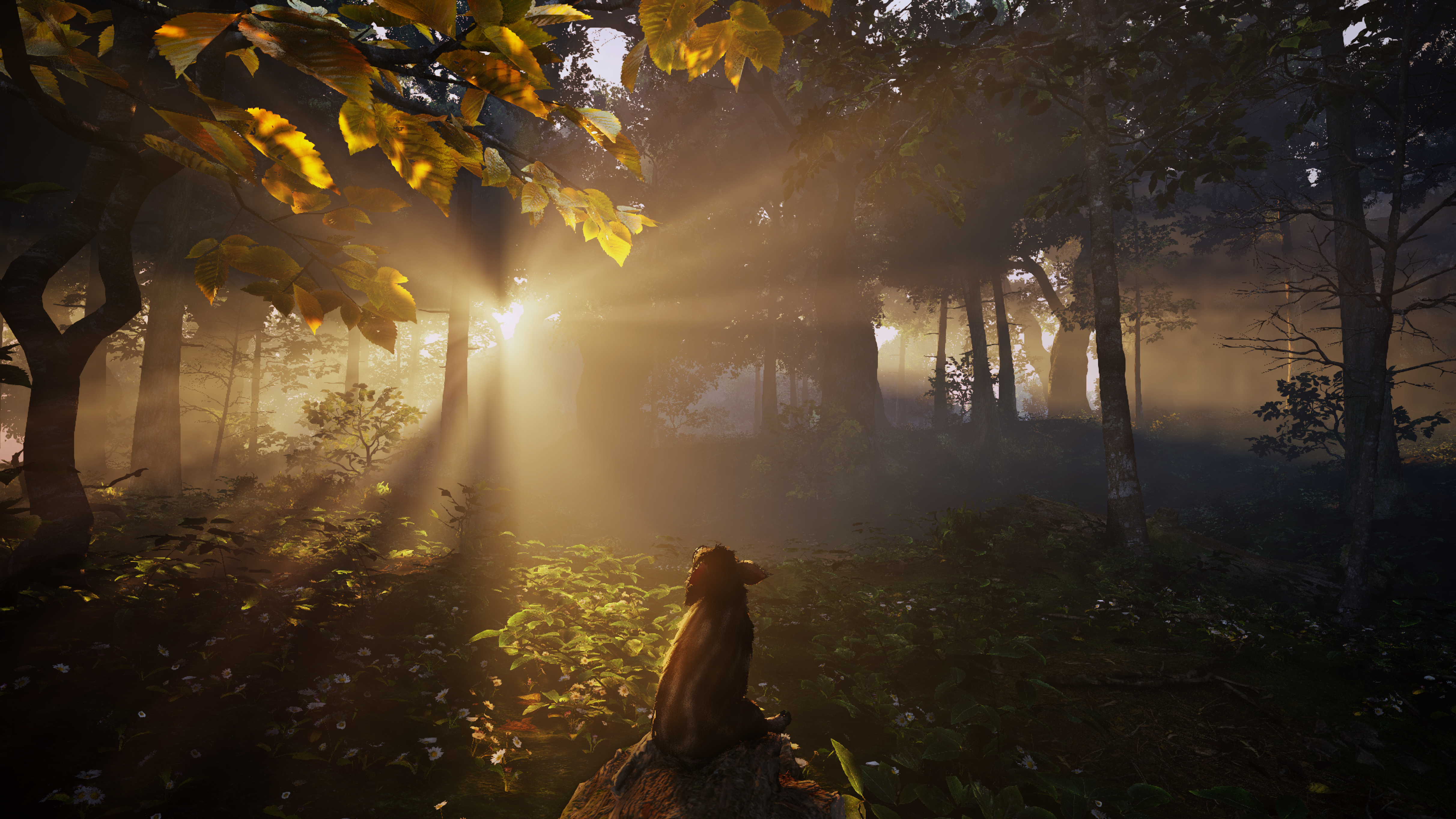 Adorable Adventures PS5