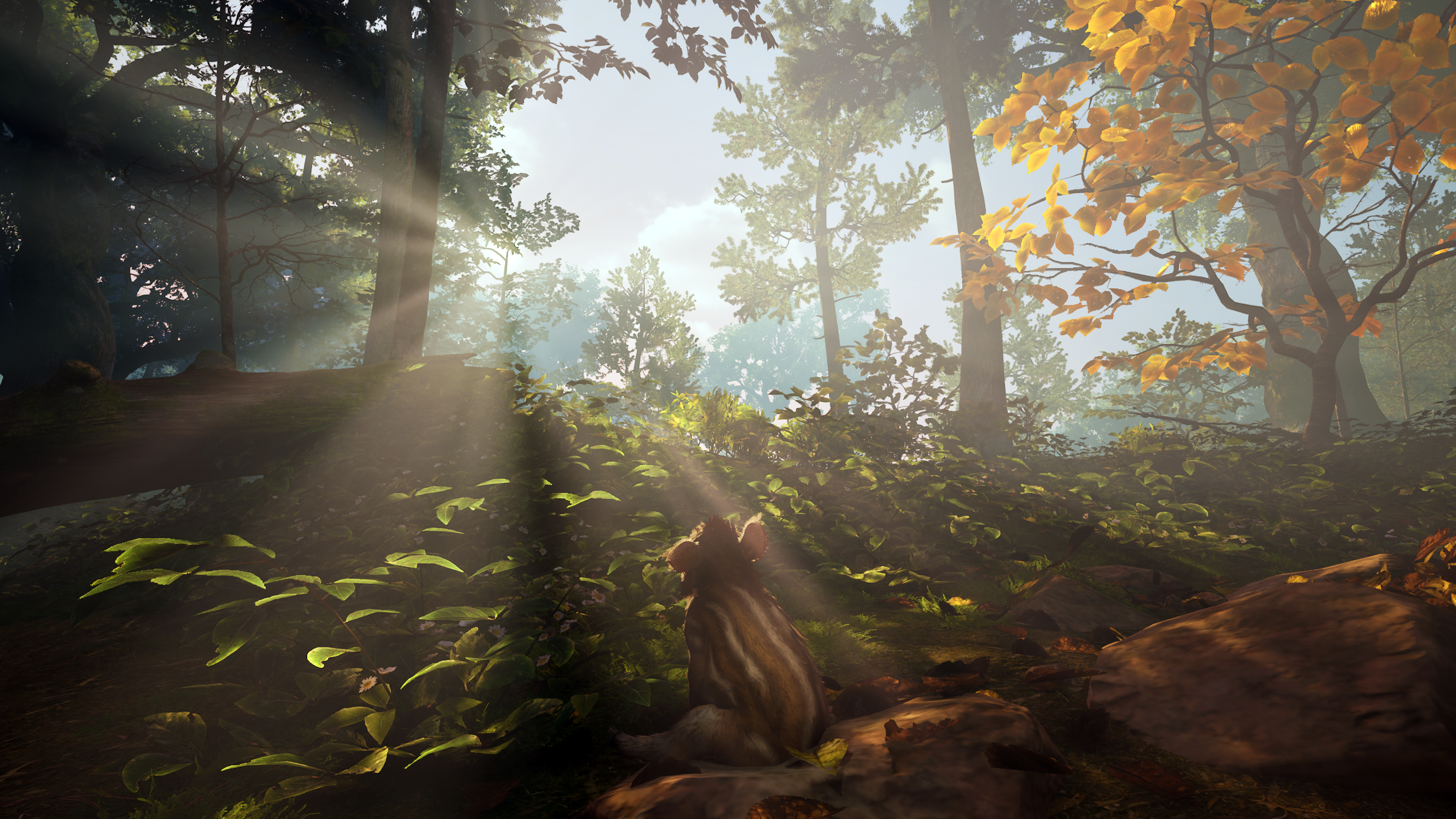 Adorable Adventures PS5