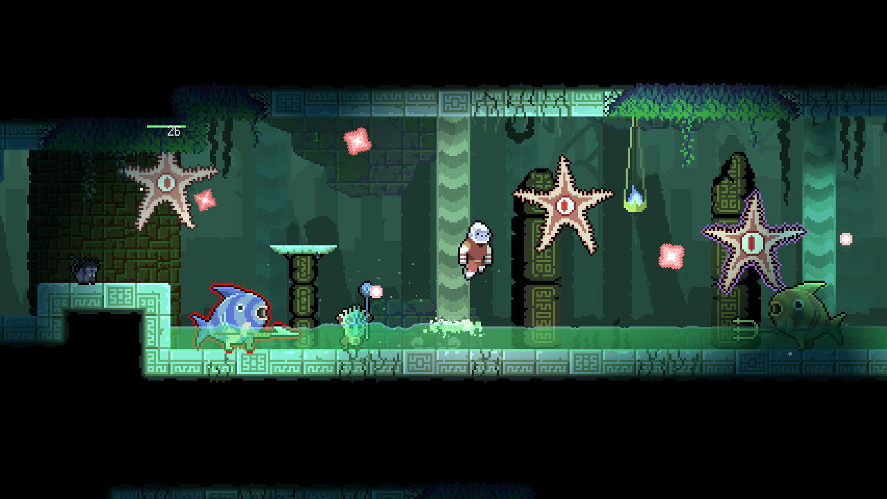 Dunjungle Premium Edition SWITCH