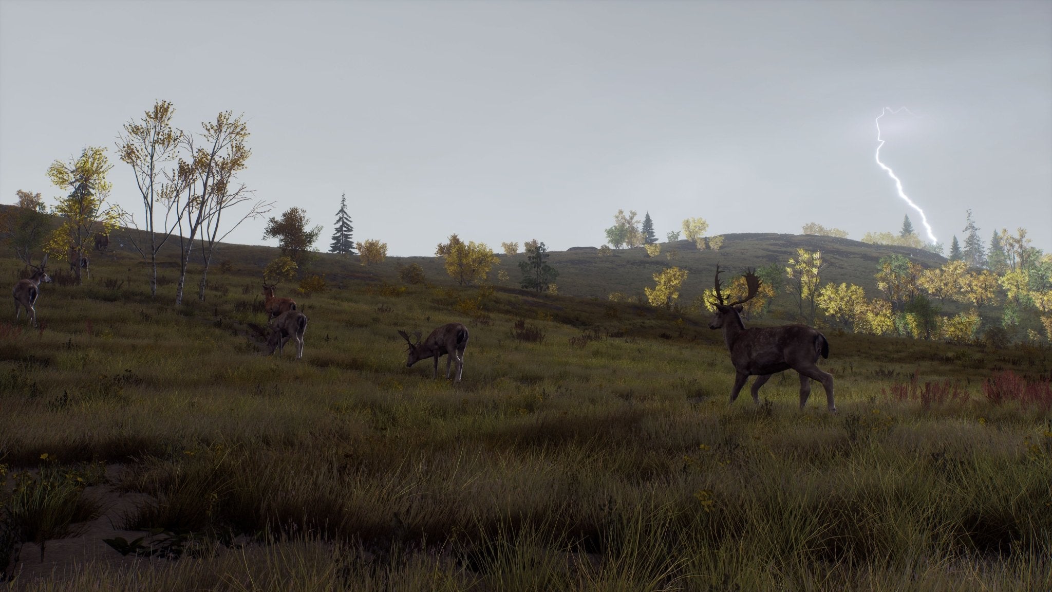 Way of the Hunter Wild Expeditions Xbox Series X - Jeux Vidéo Physique - THQ NORDIC GAMES - Shop Just for Games