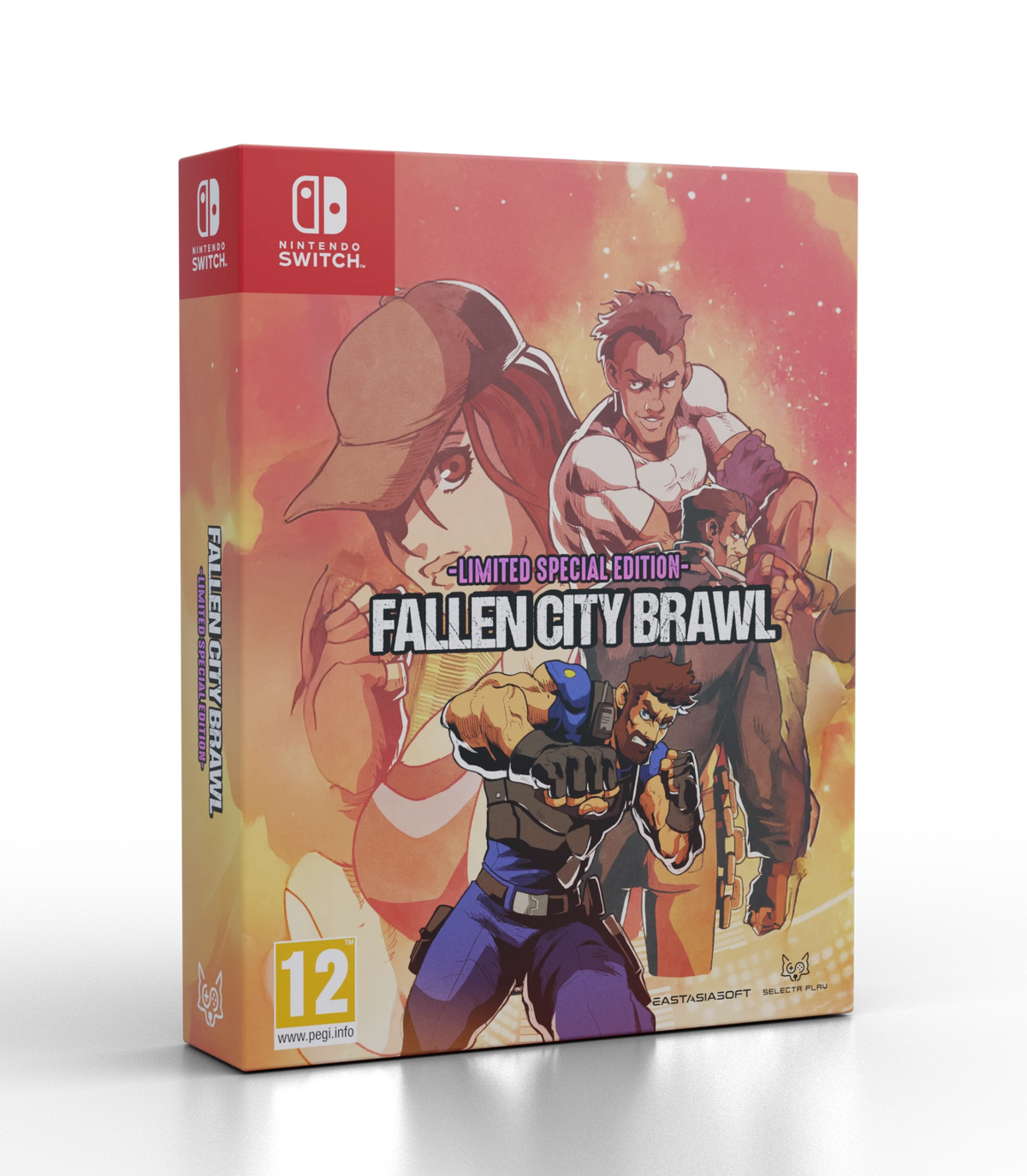 Fallen City Brawl Special Edition Nintendo Switch - Jeux Vidéo Physique - SELECTA PLAY - Shop Just for Games