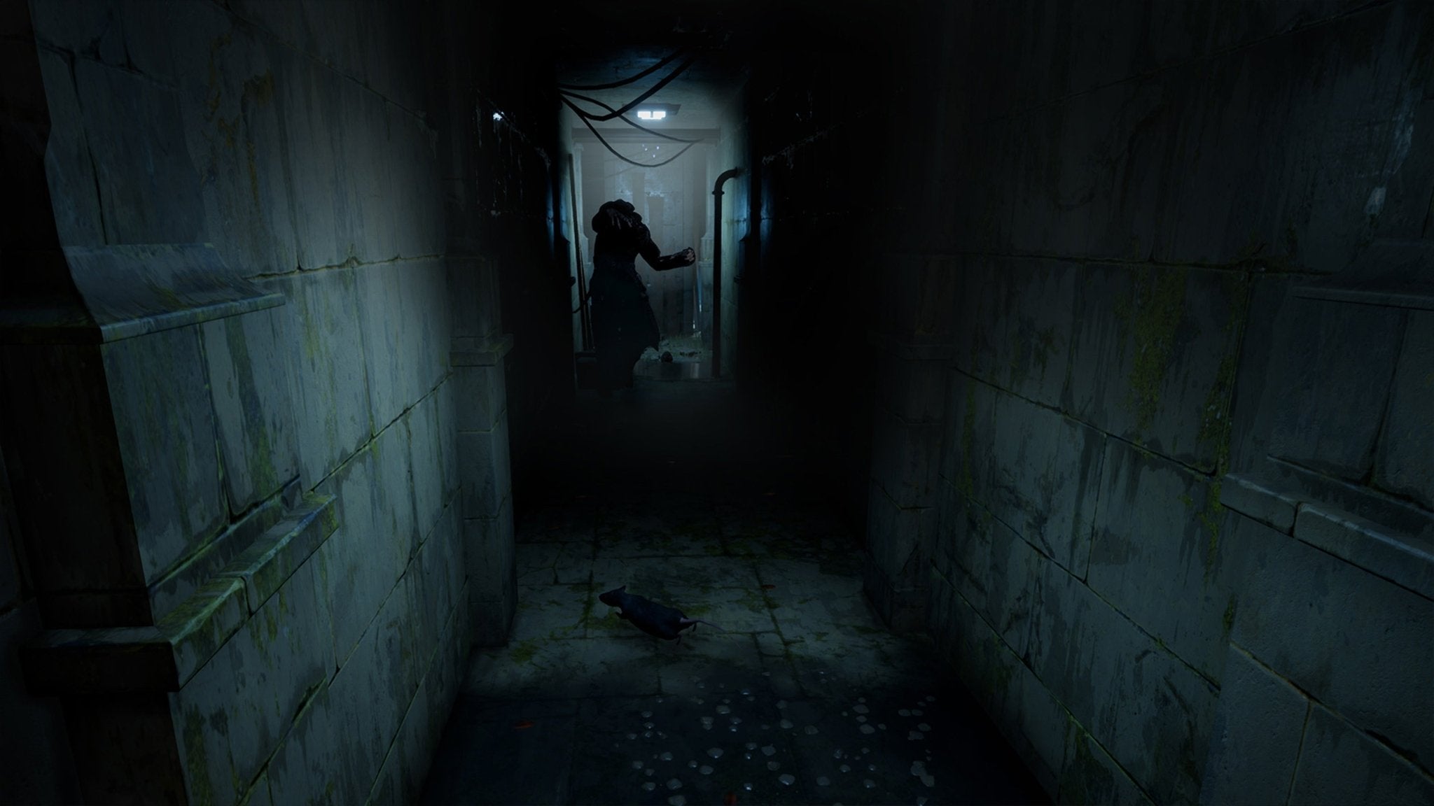 Horror Tales The Wine PS5 - Jeux Vidéo Physique - TESURA - Shop Just for Games
