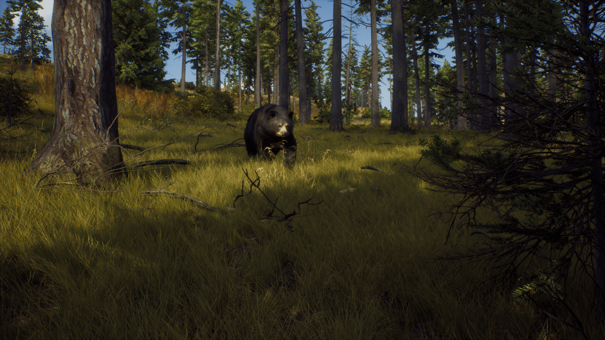 Way of the Hunter PS5 - Jeux Vidéo Physique - THQ NORDIC GAMES - Shop Just for Games